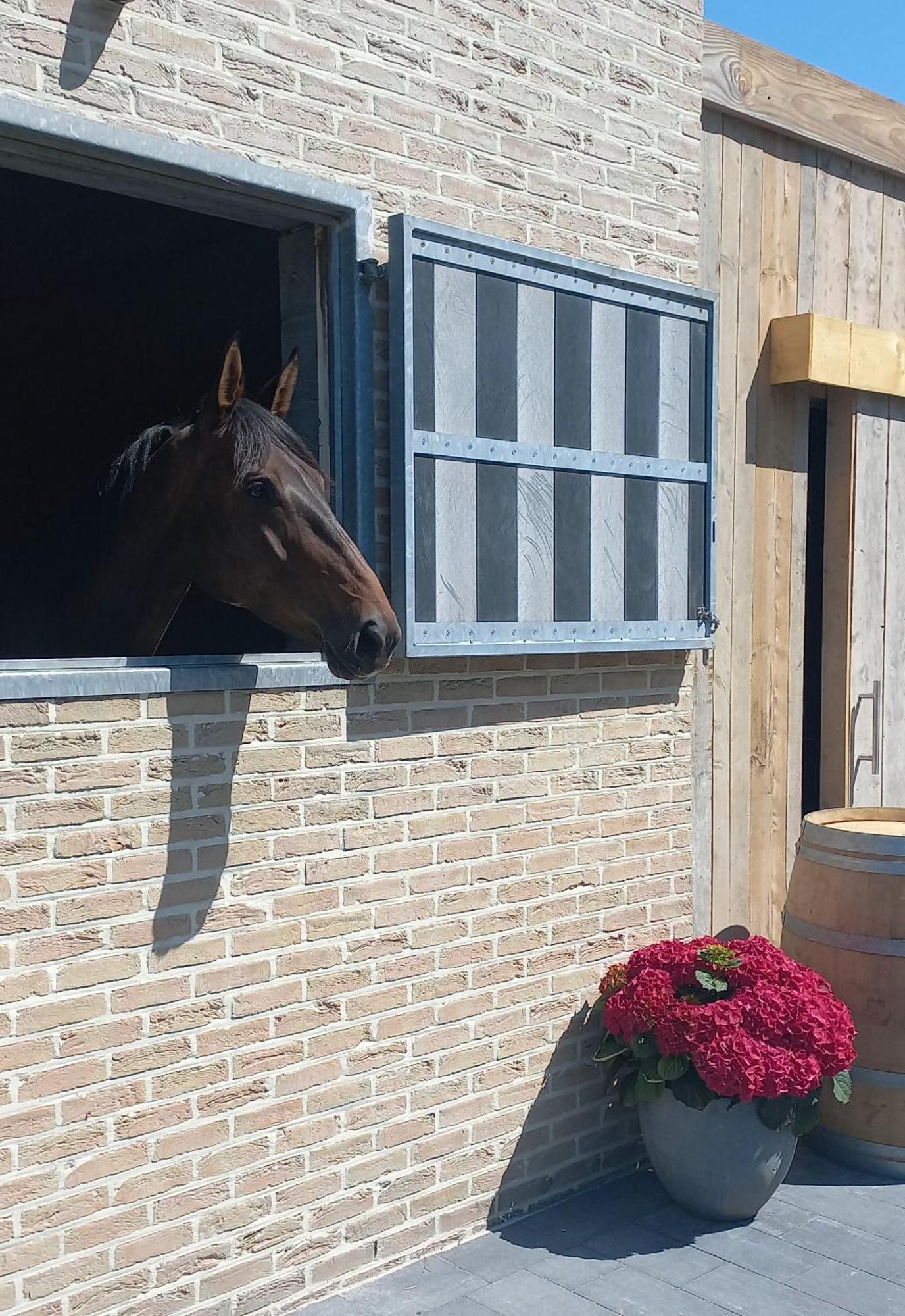 Vakantiehoeve 'De Zandrug' Stekene Exterior photo